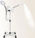 Radiateur électrique, décoration de salon, vapeur, professionnel, 2 en 1 pour le visage